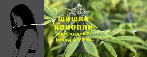 ГАЛЛЮЦИНОГЕННЫЕ ГРИБЫ Киренск