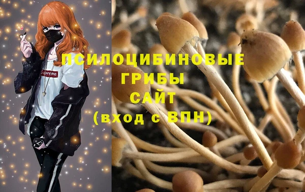 ГАЛЛЮЦИНОГЕННЫЕ ГРИБЫ Киренск