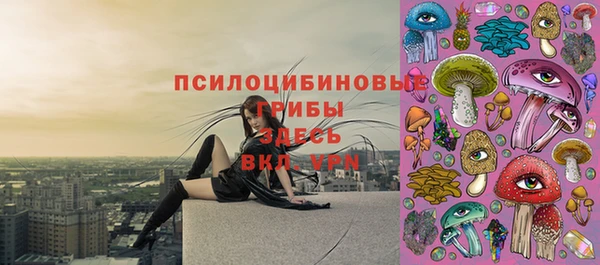 твердый Киреевск