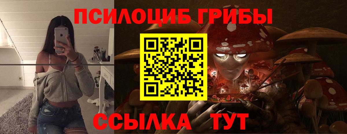 Оренбург  Галлюциногенные грибы Psilocybe  где найти наркотики  Вход с VPN 