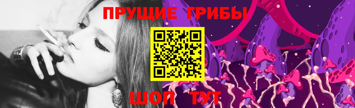 Галлюциногенные грибы Psilocybe Оренбург