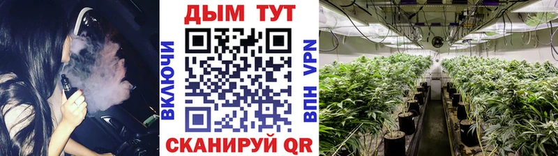 как найти закладки  Оренбург  Конопля White Widow 